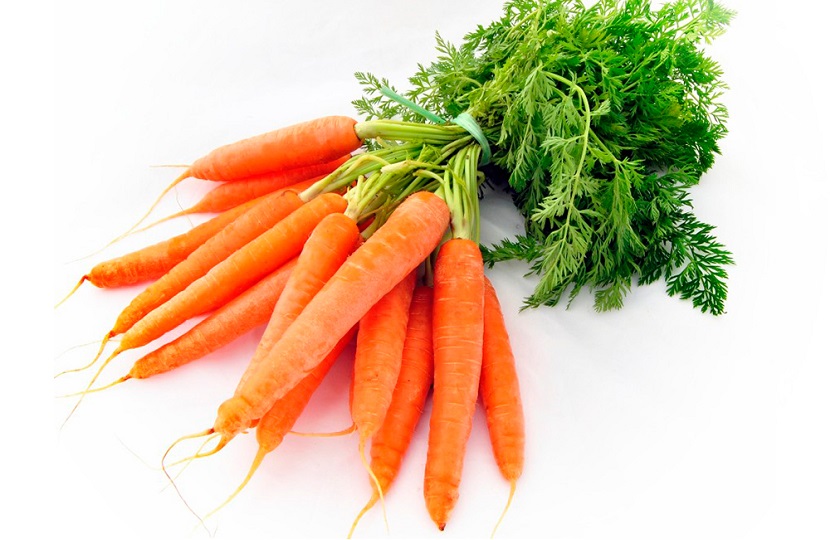 Ботва моркови при геморрое