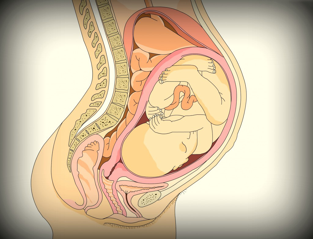 Находясь в этом положении, у женщин возникает повышенное давление в брюшной полости, что может вызвать появление геморроя