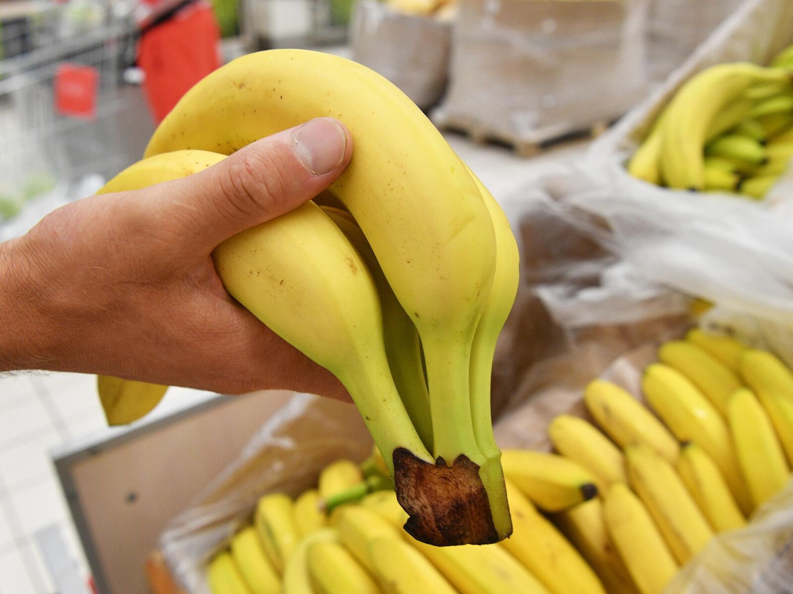 Для лечения запоров достаточно употреблять 1-3 банана в день
